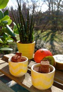 chocolat-cru-rrraw-ambience-fruits